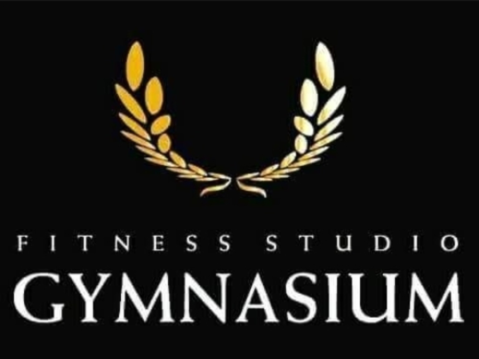 Fitness Studio Gymnasium